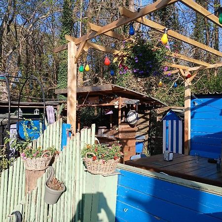 Maison 70M2 Calme Vue Sur Foret Salles  Εξωτερικό φωτογραφία